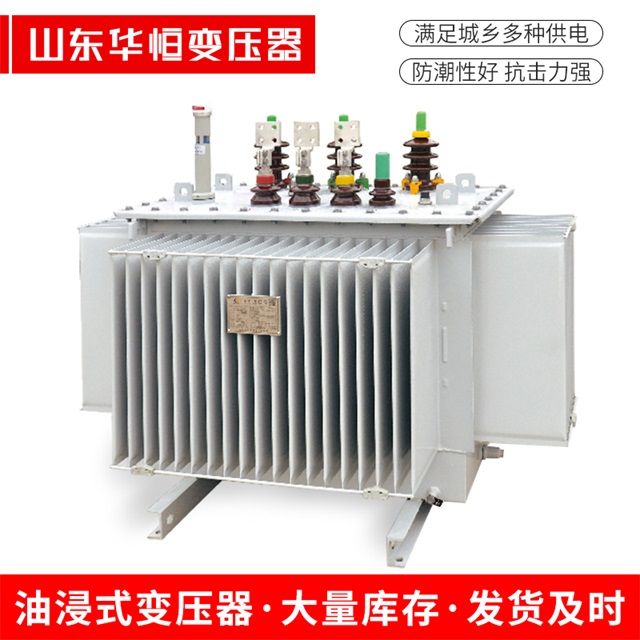 S13-10000/35济南济南济南电力变压器